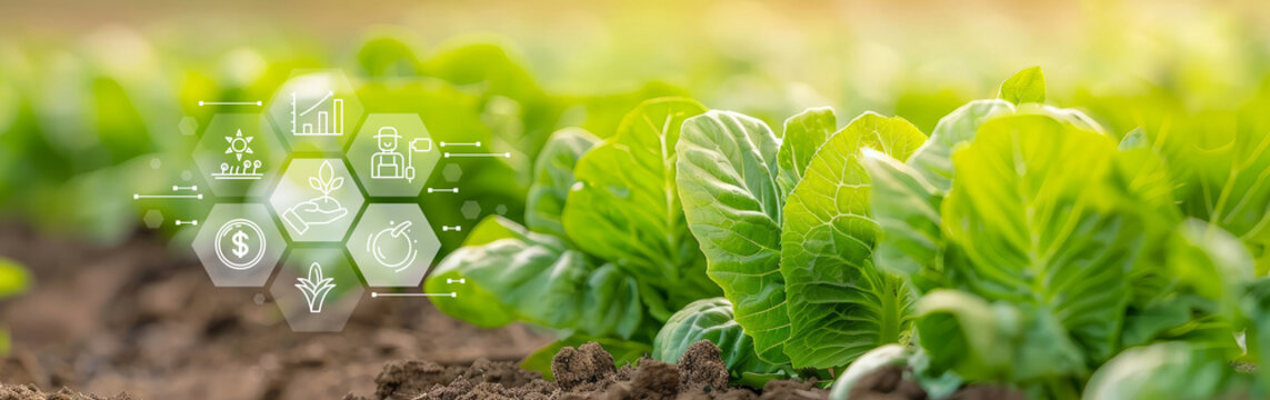Smart agriculture integrating modern technology and sustainable practices for precision farming, enhancing crop yield and resource management in community gardens and rural areas. Smart farming.