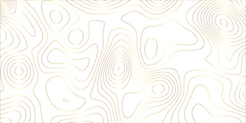 Abstract white golden gradient Topographic line map pattern background. Contour elevation topographic and textured Background Modern design with White background with topographic wavy patte.	
