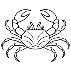 Crabs line art vector illustration