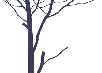 Close-up of a leafless tree trunk and branches against a clear background, symbolizing dormancy or minimalism.