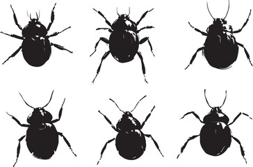 A set of insects. Hand drawn vector illustration	