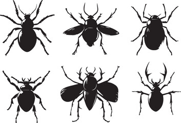 A set of insects. Hand drawn vector illustration	