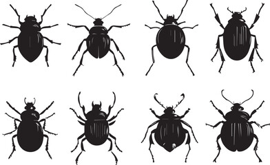 A set of insects. Hand drawn vector illustration	