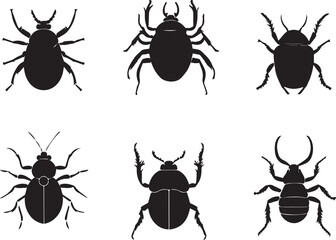 A set of insects. Hand drawn vector illustration	