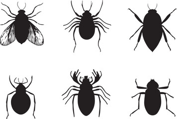 A set of insects. Hand drawn vector illustration	