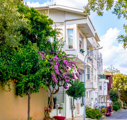 old wooden houses in the town of  heybeliada island, adalar istanbul