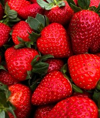 Morangos em Pleno Verão