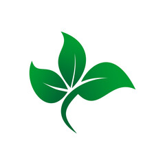 Leaf Logo Template vector symbol nature.