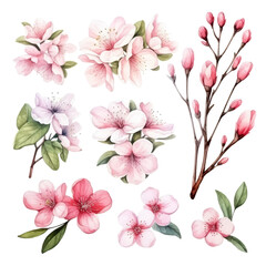 Obraz premium A collection of nine delicate cherry blossom illustrations with pink and white petals, showcasing various stages of blooming, from closed buds to fully open flowers, perfect for spring-themed designs.