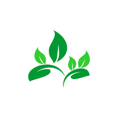 Leaf Logo Template vector symbol nature.