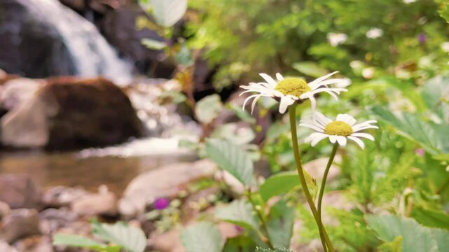 Young mother and little daughter are resting near a mountain river with a cascade. Carpathians, Ukraine.