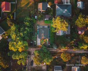 the house in the forest