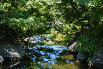 Naklejka premium 徳川園の道と木々