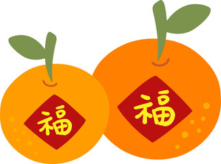 Chinese new year orange auspicious decorative fruit