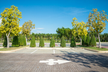 Empty space in city park outdoor concrete parking lot area with blue sky in summer season. Green nature gardening in car parking lot. Friendly environmental and transportation concept. © pla2na