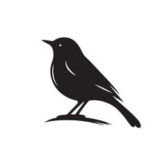 Obraz premium A bird silhouette vector illustration