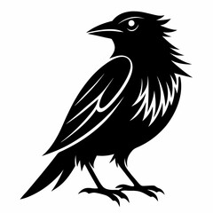 Hand drawn bird black silhouette collection isolated vector art