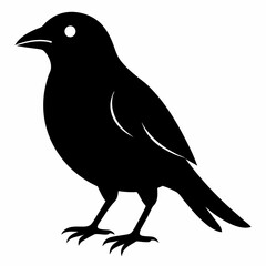 Hand drawn bird black silhouette collection isolated vector art