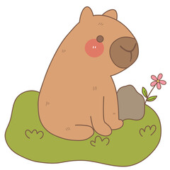 Cute Capybara
