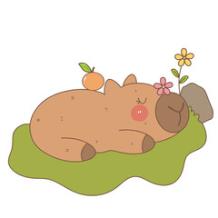 Cute capybara 
