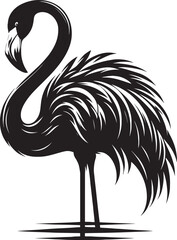 Beautiful flamingo bird silhouette illustration isolated on a white background