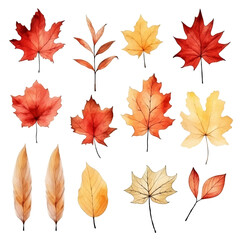 Fototapeta premium A collection of 14 autumn leaves in various shades of red, orange, and yellow. The leaves are isolated on a transparent background.