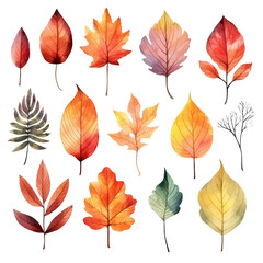 Obraz premium A collection of 16 watercolor painted autumn leaves in various shades of red, orange, yellow, and green, perfect for fall-themed designs.