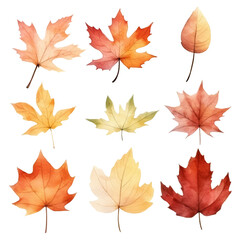 Obraz premium A collection of nine autumn leaves in various shades of orange, yellow, and red.