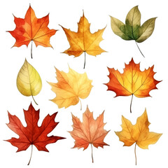 Fototapeta premium A collection of nine autumn leaves in various shades of red, orange, yellow, and green, isolated on a transparent background.