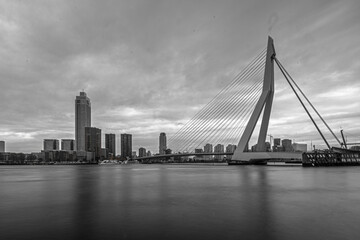 Erasmus Bridge - Rotterdam