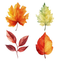 Fototapeta premium Four autumn leaves in various shades of red, orange, and yellow, isolated on a transparent background.
