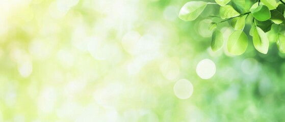 Bright green leaves on a blurred background, creating a peaceful, natural atmosphere.