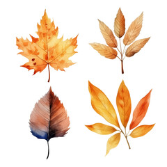 Fototapeta premium Four autumn leaves, hand-painted in watercolor, isolated on a transparent background.