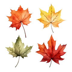 Fototapeta premium Four watercolor maple leaves in various autumnal colors.