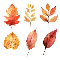 Six autumn leaves in various shades of red, orange and yellow, isolated on a transparent background.
