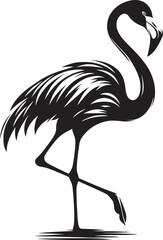 Beautiful flamingo bird silhouette illustration isolated on a white background