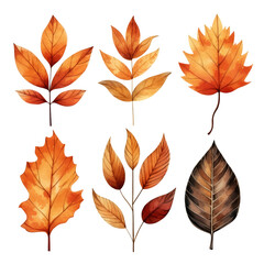 Fototapeta premium Six autumn leaves in various shapes and colors, isolated on white.