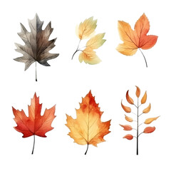 Six watercolor illustrations of autumn leaves with different colors and shapes.