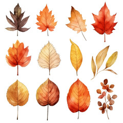 Obraz premium Twelve autumn leaves in various shades of red, orange, yellow, and brown, painted in a watercolor style, isolated on a transparent background.
