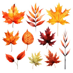 Obraz premium Watercolor illustration of autumn leaves in various shades of red, orange, and yellow.