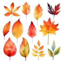 Obraz premium Watercolor illustration of autumn leaves in various shades of red, orange, yellow, and green.