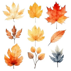 Obraz premium Watercolor illustration of nine autumn leaves in different shades of yellow, orange, red, and brown.