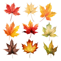 Obraz premium Watercolor illustration of nine autumn maple leaves in various shades of red, orange, yellow, and green.