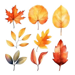 Obraz premium Watercolor illustration of nine autumn leaves in various shapes and colors, including red, orange, and yellow.