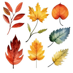 Fototapeta premium Watercolor illustration of various autumn leaves in shades of red, orange, yellow, and green.