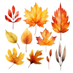 Fototapeta premium A collection of nine autumn leaves in various shades of red, yellow, and orange.