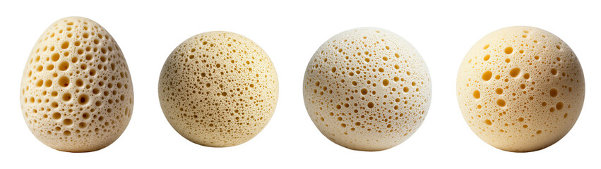 Porous Sponges Set, Various natural sponges with intricate textures, Bath and body care essentials