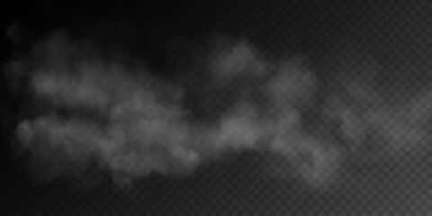 Fog or smoke, white smog clouds on floor, isolated transparent special effect. Vector illustration, morning fog over land or water surface, magic haze.	