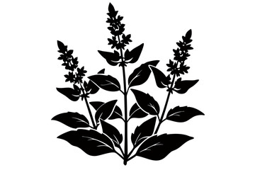 Creative Flower SillouetteVector Art Illustration