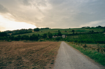 Obraz premium White road. Mule track leading to green hills with trees. Italian hill